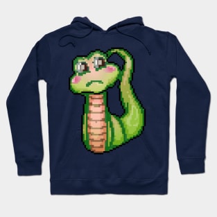 Stylish Stitches Snake Hoodie